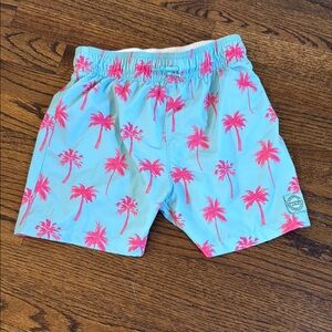 Abercrombie Kids Blue and Pink Swim Trunks with Palm Tree Print